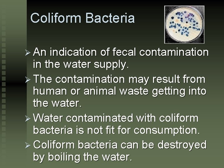 Coliform Bacteria Ø An indication of fecal contamination in the water supply. Ø The