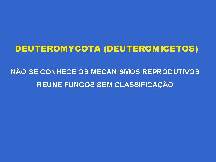 DEUTEROMYCOTA (DEUTEROMICETOS) NÃO SE CONHECE OS MECANISMOS REPRODUTIVOS REUNE FUNGOS SEM CLASSIFICAÇÃO 