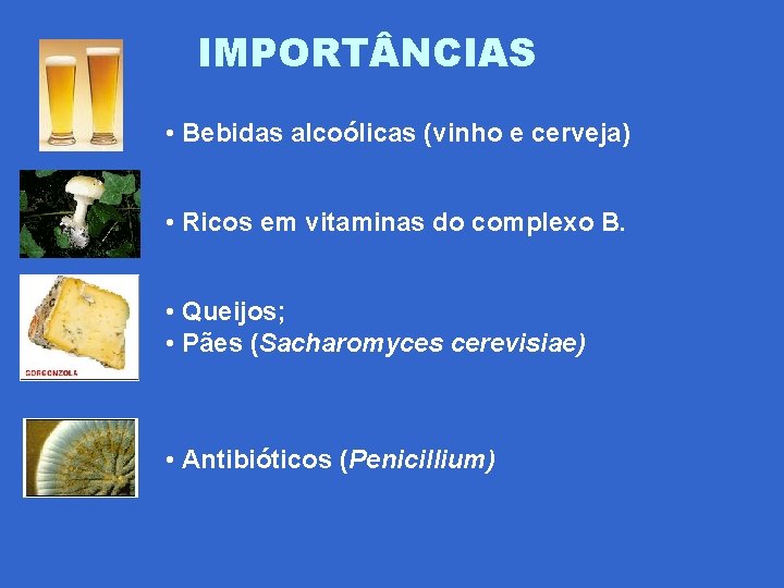 IMPORT NCIAS • Bebidas alcoólicas (vinho e cerveja) • Ricos em vitaminas do complexo