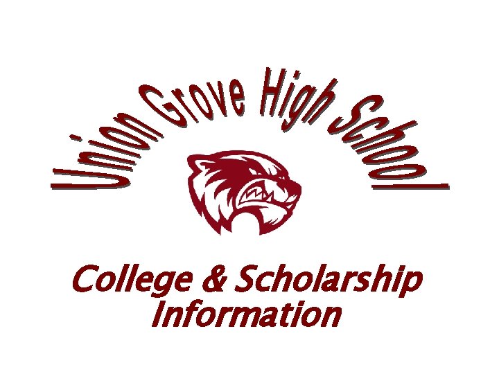College & Scholarship Information 