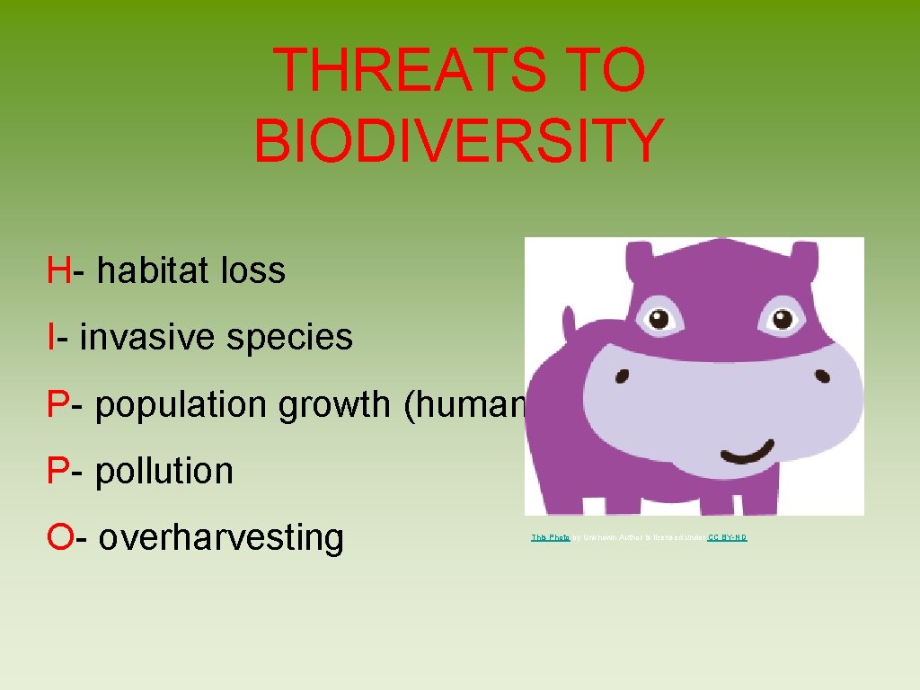 Chapter 5 Evolution of Biodiversity Dung of the
