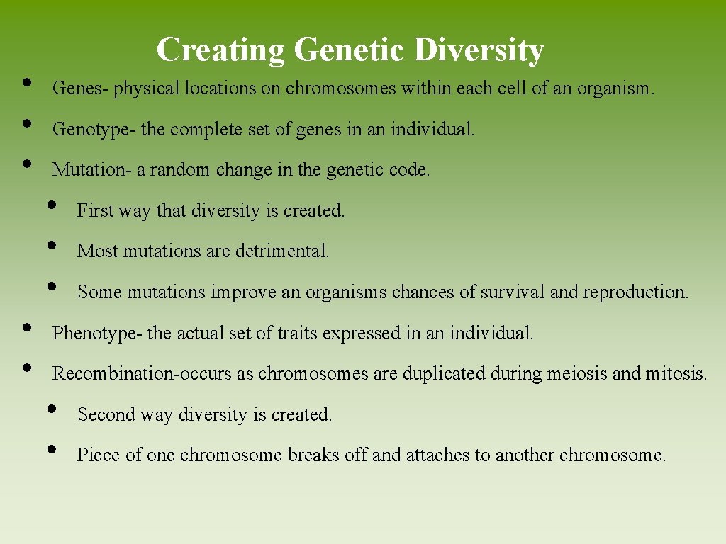 Chapter 5 Evolution of Biodiversity Dung of the