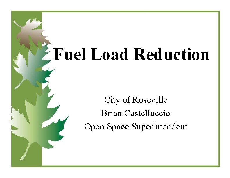 Fuel Load Reduction City of Roseville Brian Castelluccio Open Space Superintendent 