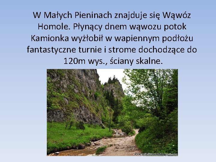 W Małych Pieninach znajduje się Wąwóz Homole. Płynący dnem wąwozu potok Kamionka wyżłobił w