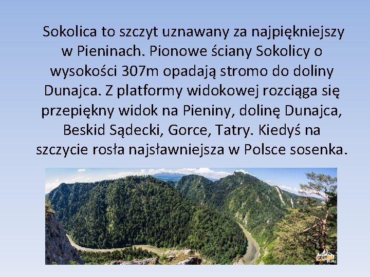 Sokolica to szczyt uznawany za najpiękniejszy w Pieninach. Pionowe ściany Sokolicy o wysokości 307