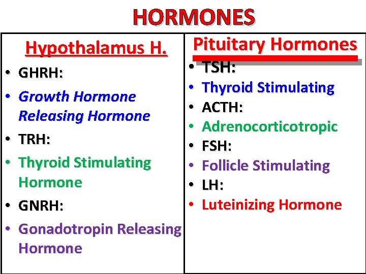 HORMONES Hypothalamus H. • GHRH: • Growth Hormone Releasing Hormone • TRH: • Thyroid