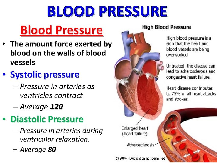 BLOOD PRESSURE Blood Pressure • The amount force exerted by blood on the walls