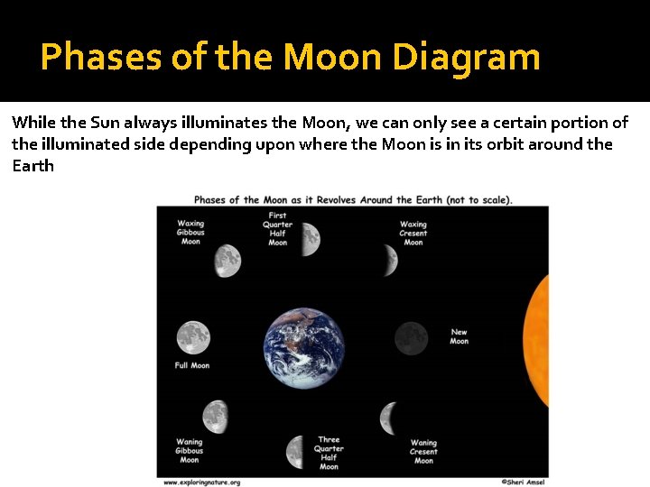 Phases of the Moon Diagram While the Sun always illuminates the Moon, we can