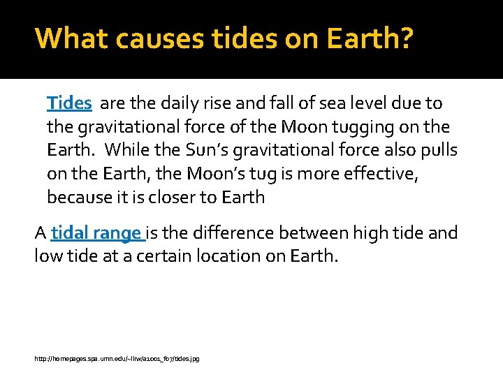 What causes tides on Earth? Tides are the daily rise and fall of sea