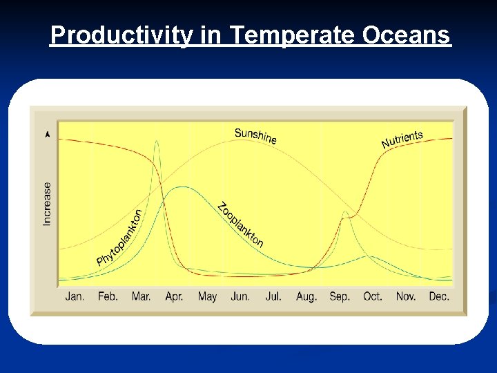 Productivity in Temperate Oceans 