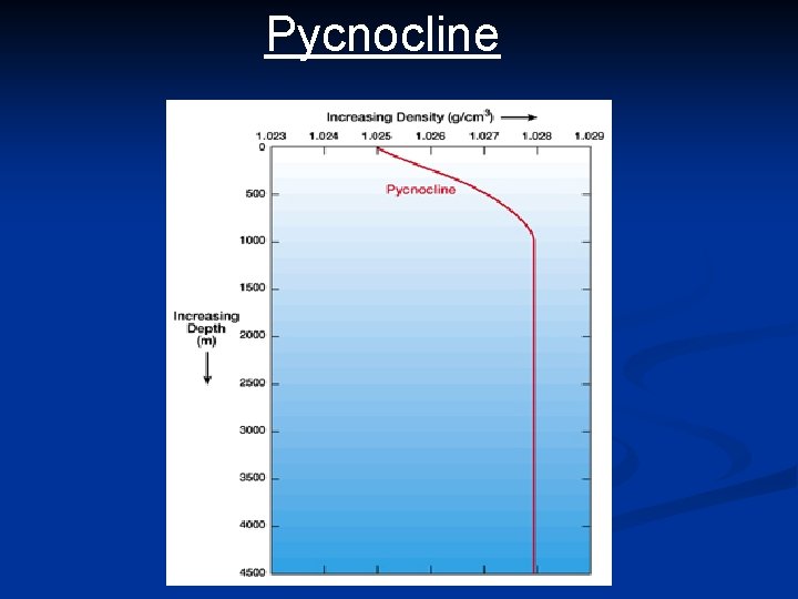 Pycnocline 