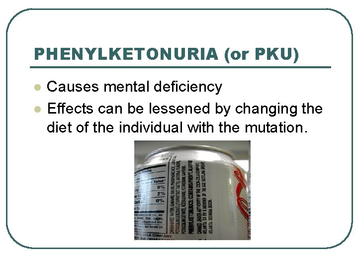 PHENYLKETONURIA (or PKU) l l Causes mental deficiency Effects can be lessened by changing