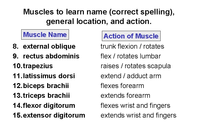 Muscles to learn name (correct spelling), general location, and action. Muscle Name 8. external