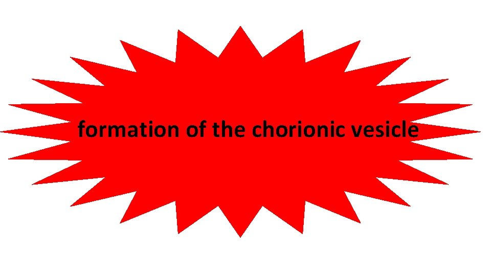 formationthe of 2 nd the chorionic vesicle week 