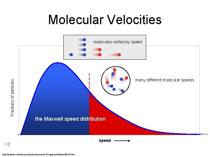 Molecular Velocities Fractions of particles molecules sorted by speed many different molecular speeds the