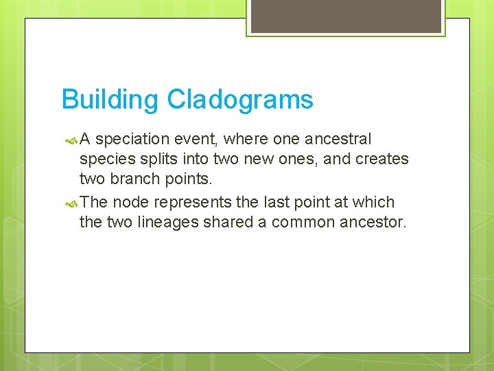 Building Cladograms A speciation event, where one ancestral species splits into two new ones,