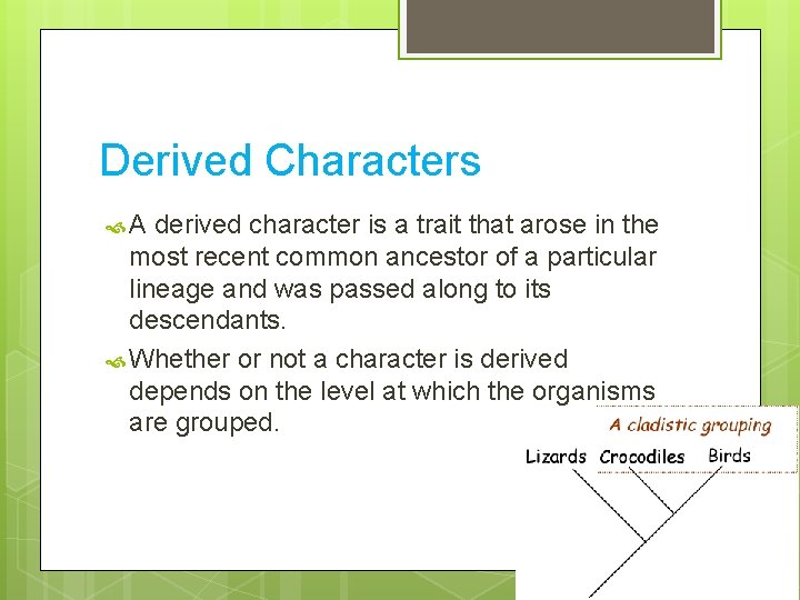 Derived Characters A derived character is a trait that arose in the most recent