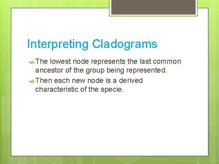 Interpreting Cladograms The lowest node represents the last common ancestor of the group being