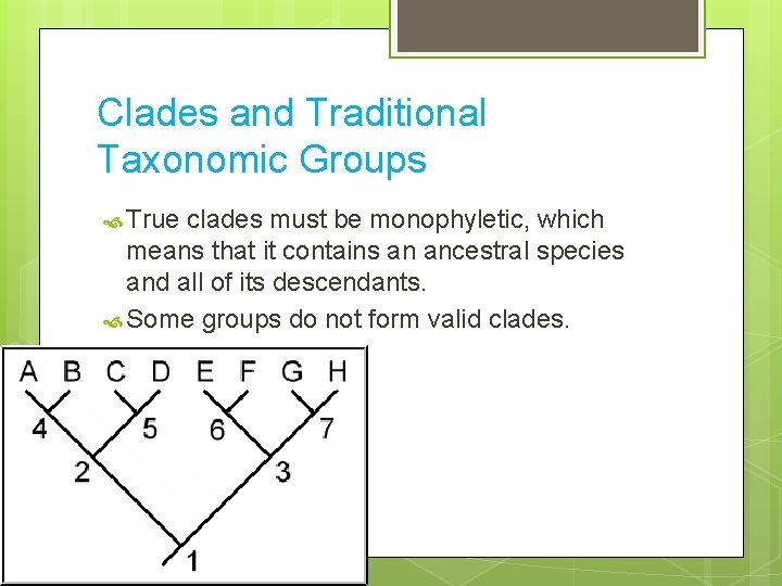 Clades and Traditional Taxonomic Groups True clades must be monophyletic, which means that it