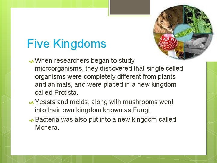 Five Kingdoms When researchers began to study microorganisms, they discovered that single celled organisms