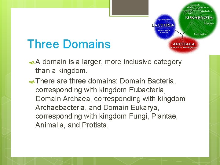 Three Domains A domain is a larger, more inclusive category than a kingdom. There