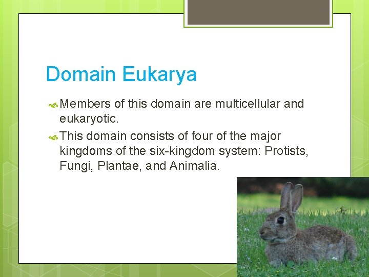 Domain Eukarya Members of this domain are multicellular and eukaryotic. This domain consists of