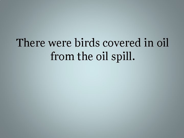 There were birds covered in oil from the oil spill. 