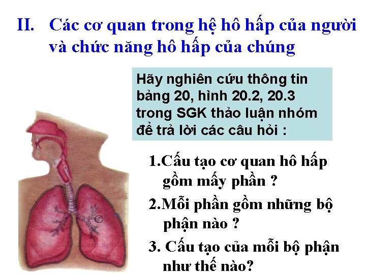 II. Các cơ quan trong hệ hô hấp của người và chức năng hô