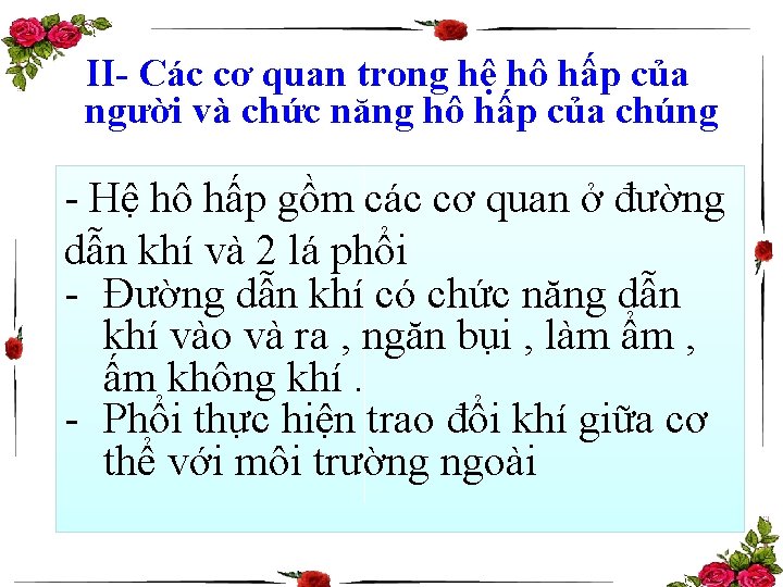 II- Các cơ quan trong hệ hô hấp của người và chức năng hô