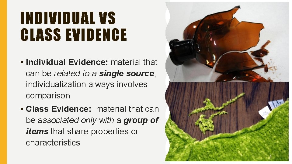 Crime Scene Investigation and Evidence Collection SFS 1