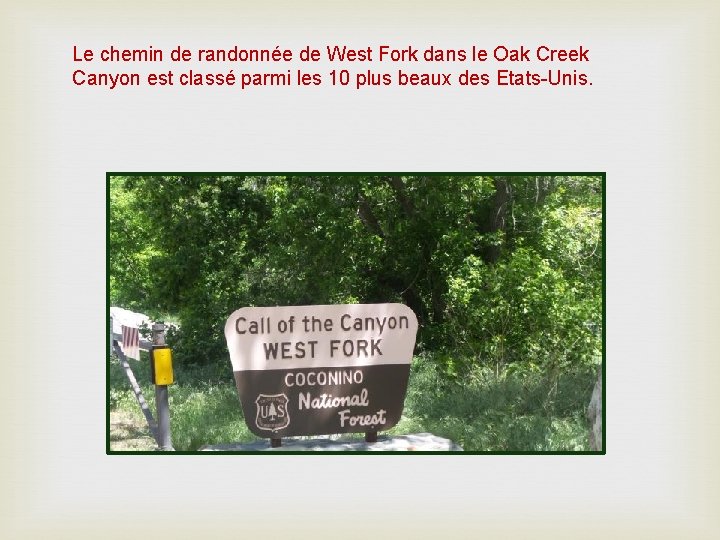 Le chemin de randonnée de West Fork dans le Oak Creek Canyon est classé