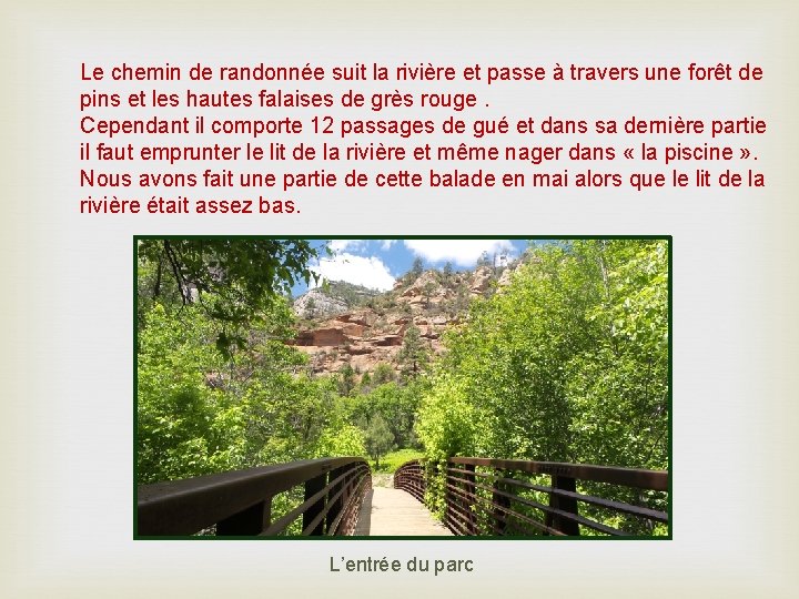 Le chemin de randonnée suit la rivière et passe à travers une forêt de