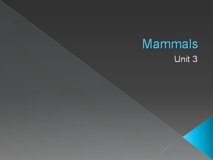 Mammals Unit 3 