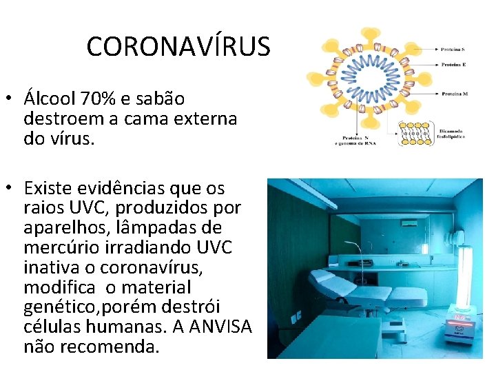 CORONAVÍRUS • Álcool 70% e sabão destroem a cama externa do vírus. • Existe