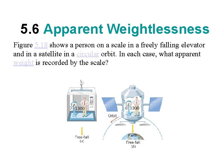 5. 6 Apparent Weightlessness Figure 5. 18 shows a person on a scale in