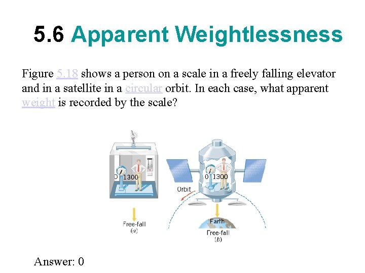 5. 6 Apparent Weightlessness Figure 5. 18 shows a person on a scale in