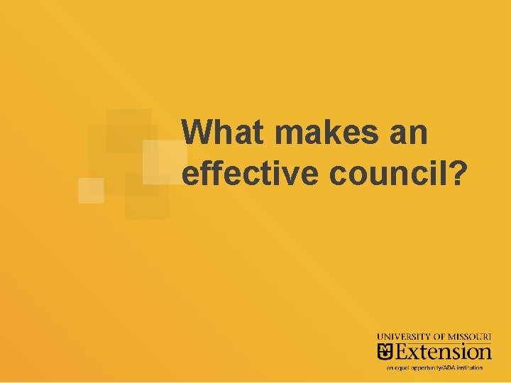 What makes an effective council? 