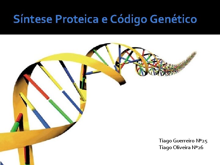 Síntese Proteica e Código Genético Tiago Guerreiro Nº 25 Tiago Oliveira Nº 26 