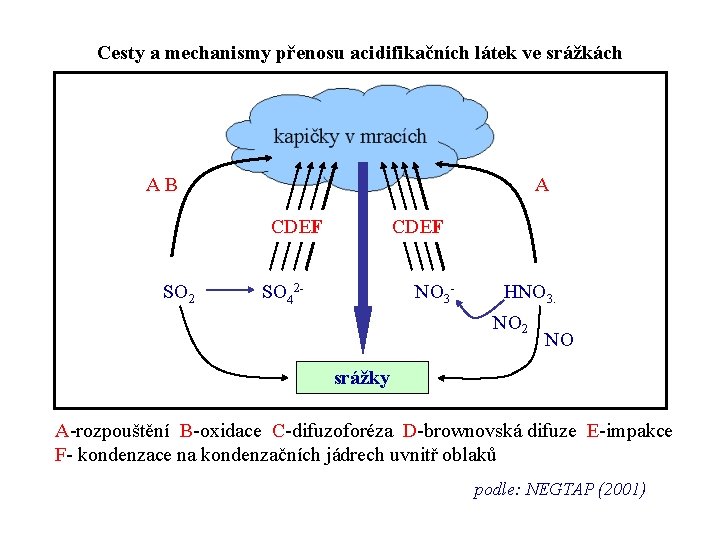 Cesty a mechanismy přenosu acidifikačních látek ve srážkách AB A CDEF SO 2 CDEF