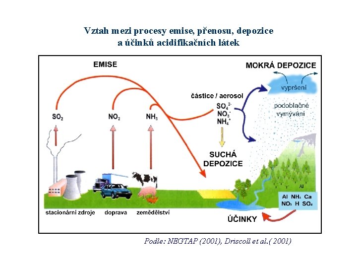 Vztah mezi procesy emise, přenosu, depozice a účinků acidifikačních látek Podle: NEGTAP (2001), Driscoll