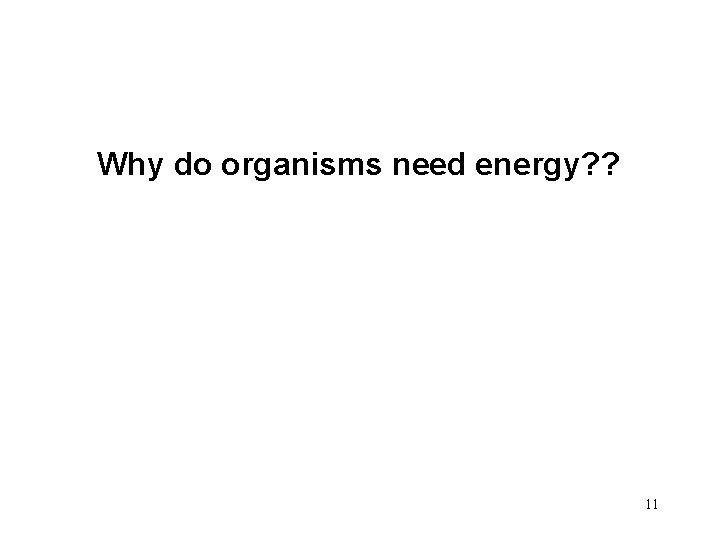 Why do organisms need energy? ? 11 