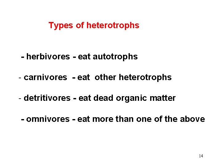 Types of heterotrophs - herbivores - eat autotrophs - carnivores - eat other heterotrophs