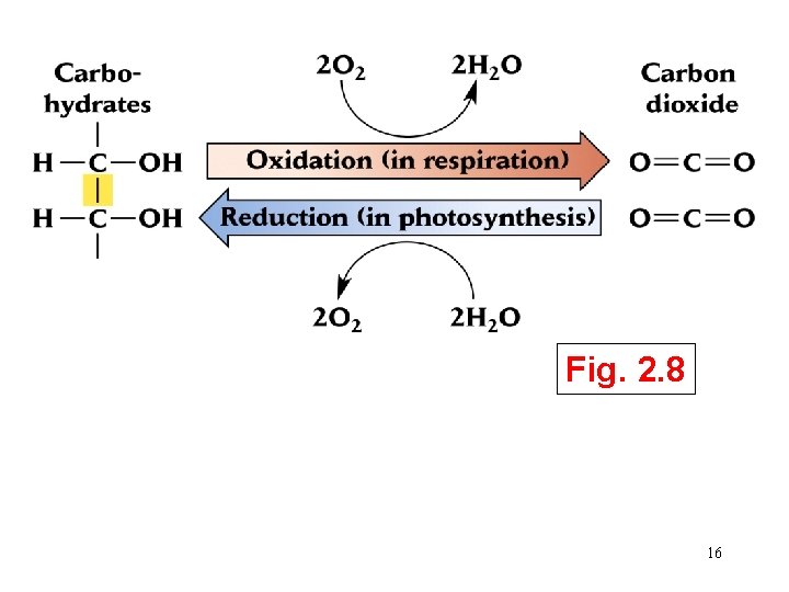 Fig. 2. 8 16 