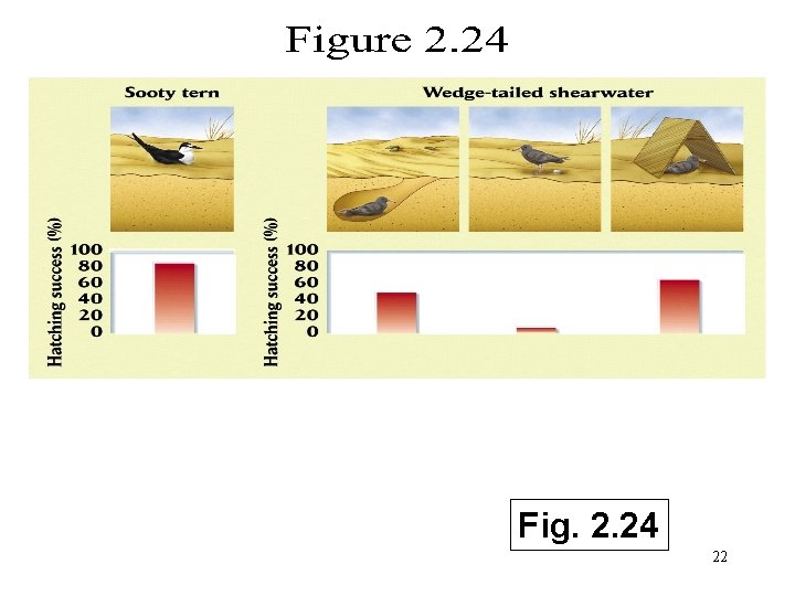 Fig. 2. 24 22 