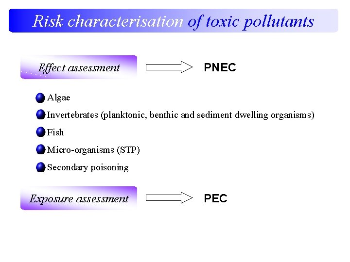 Risk characterisation of toxic pollutants Effect assessment PNEC Algae Invertebrates (planktonic, benthic and sediment