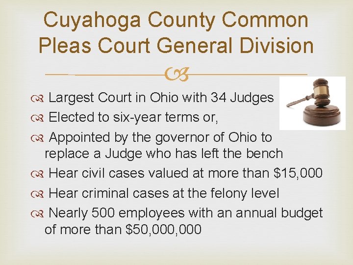 Cuyahoga County Common Pleas Court General Division Largest Court in Ohio with 34 Judges