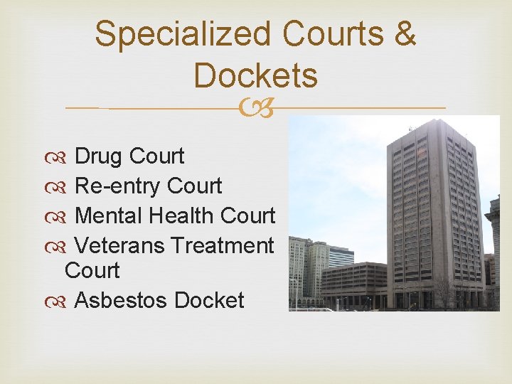 Specialized Courts & Dockets Drug Court Re-entry Court Mental Health Court Veterans Treatment Court