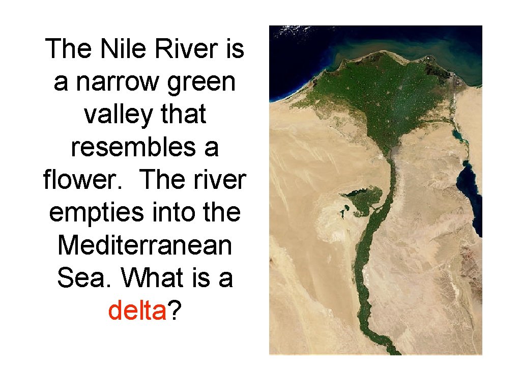 The Nile River is a narrow green valley that resembles a flower. The river