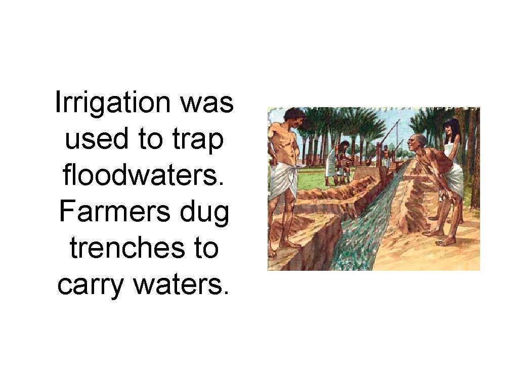 Irrigation was used to trap floodwaters. Farmers dug trenches to carry waters. 