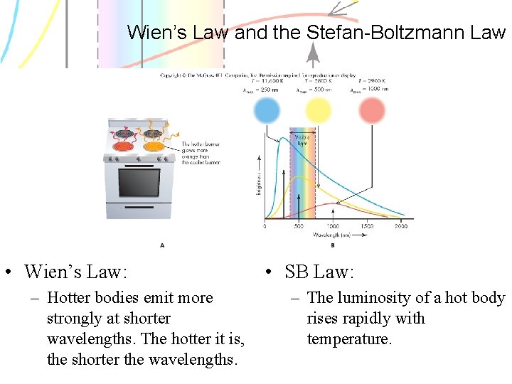 Wien’s Law and the Stefan-Boltzmann Law • Wien’s Law: – Hotter bodies emit more